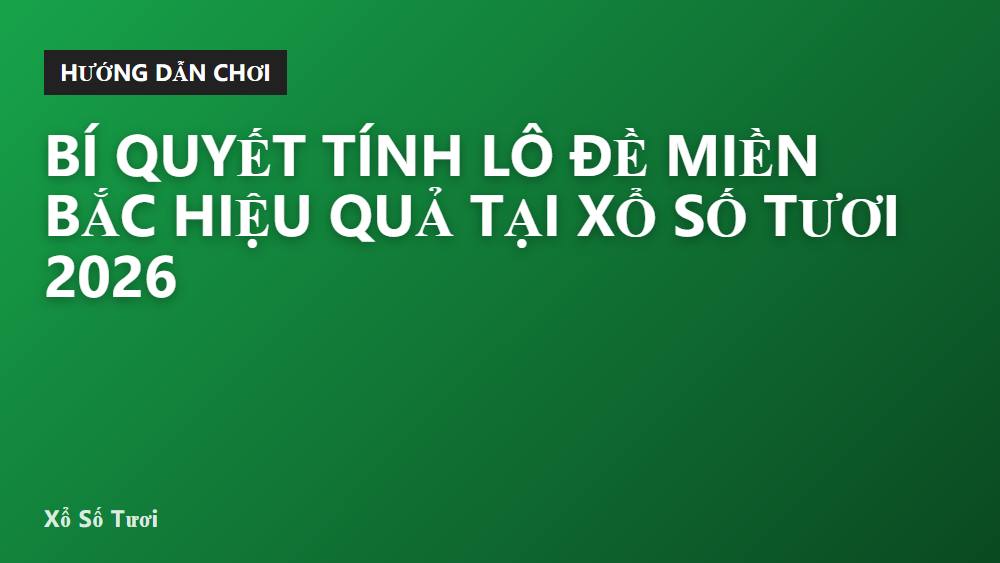 Bí quyết tính lô đề miền Bắc hiệu quả tại Xổ Số Tươi 2026